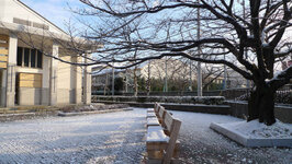 2012年2月3日　城北キャンパス積雪