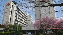赤十字病院前の椿寒桜