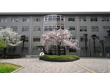 社会共創学部本館前の枝垂れ桜　（2023.3.30）